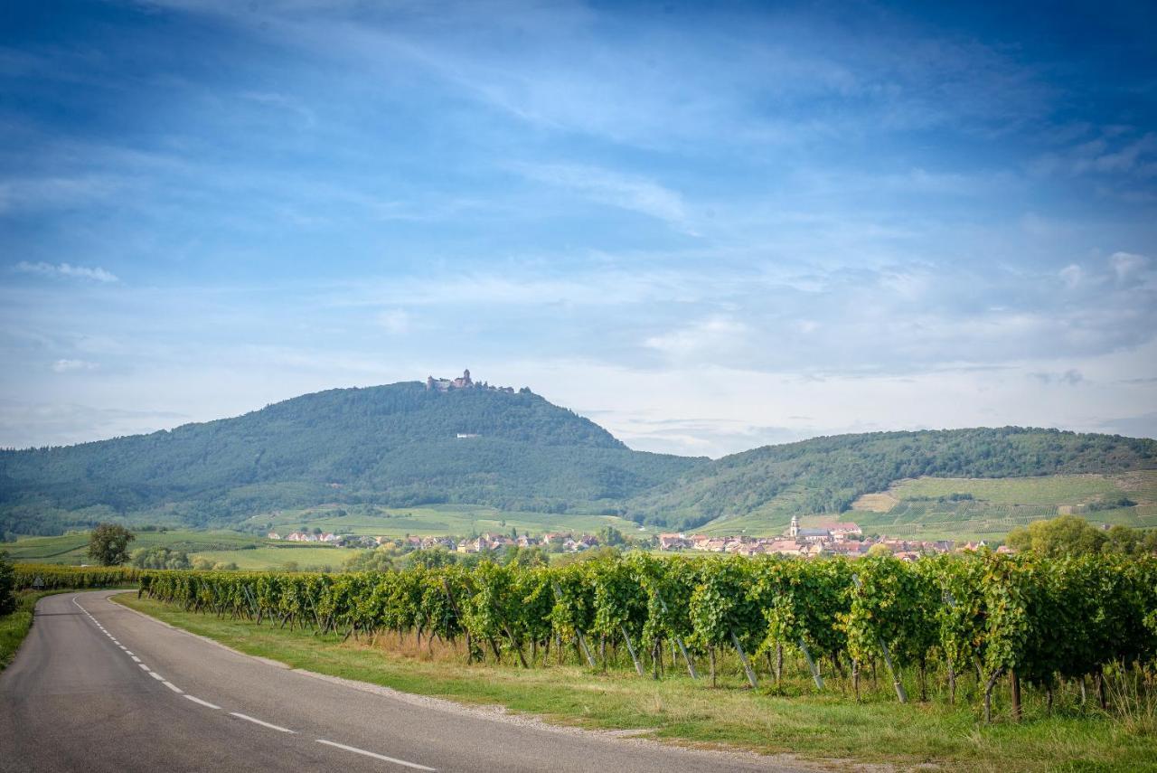 Gite **** Le Meyerhof Rorschwihr Zewnętrze zdjęcie